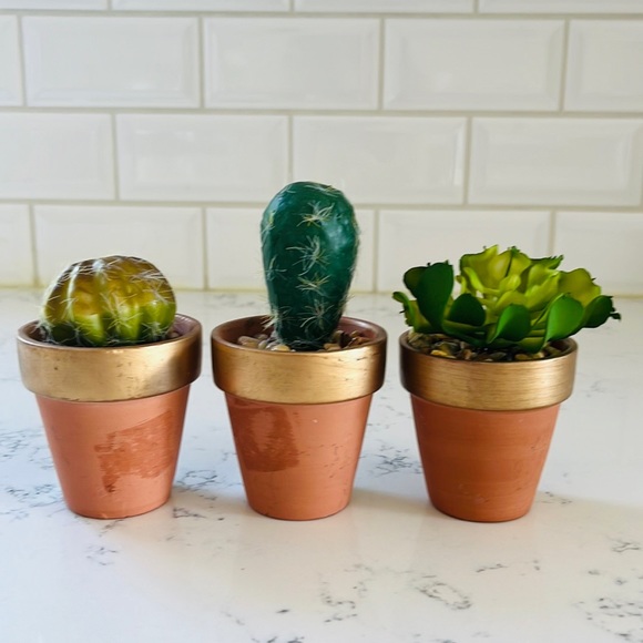 Pier 1 set of three faux mini decorative cactus - Picture 4 of 15
